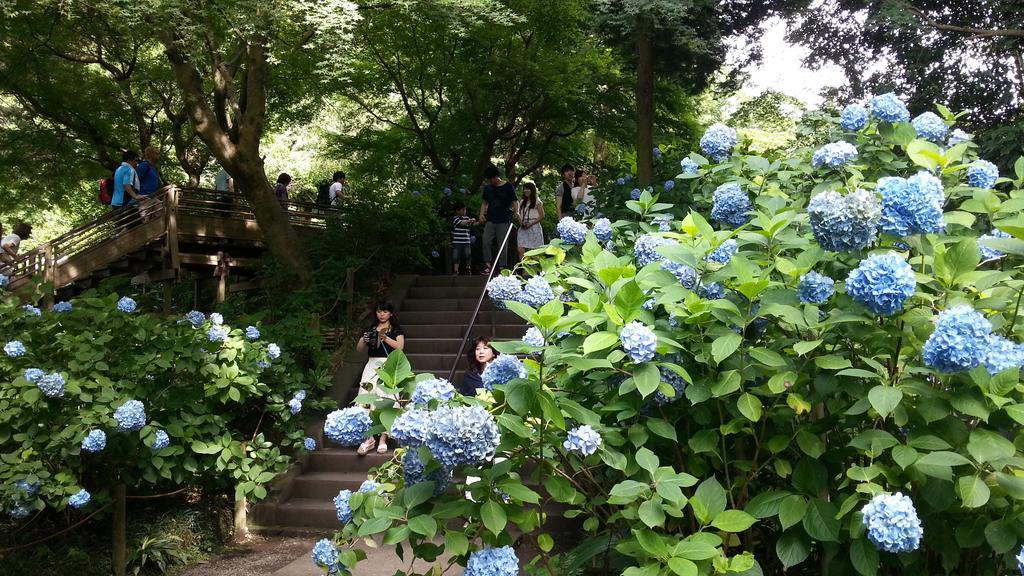 江之岛134号旅馆
